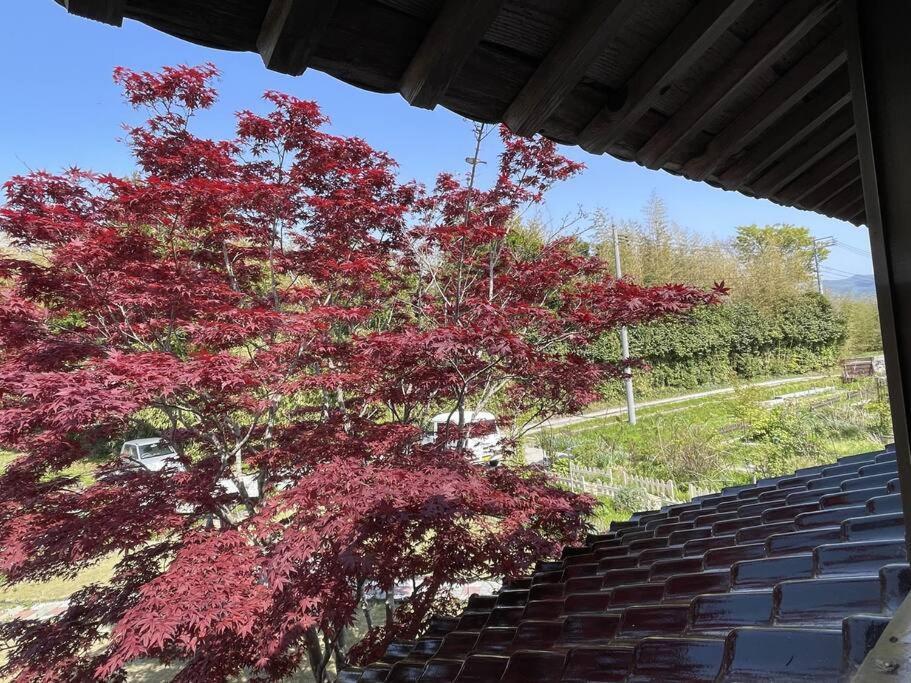 ガーデンハウス道楽亭 Villa Sado Dış mekan fotoğraf